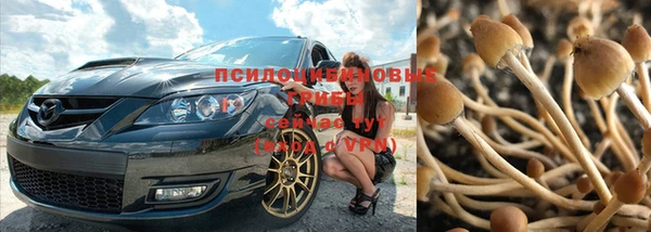 СК Алексеевка