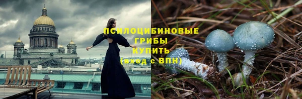 ГАЛЛЮЦИНОГЕННЫЕ ГРИБЫ Балахна