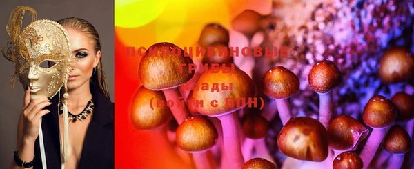 скорость Алзамай